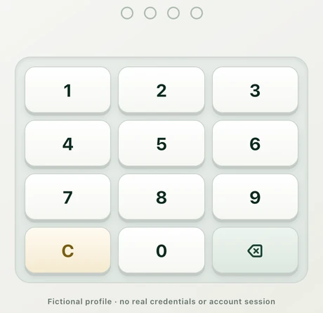 Demo profile lock with blank PIN positions and the quick PIN keypad.